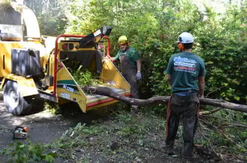 tree services Columbus